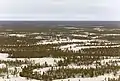 Plaine centrale de Iakoutie, région de Tukulan dans la taïga