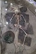 Vitrine archéologique.