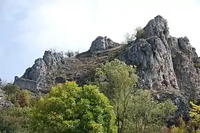 Vrmdža