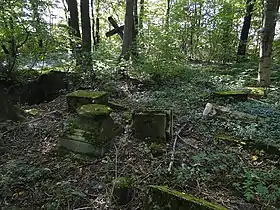 Strzelce (Chełm)