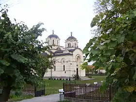 Dublje