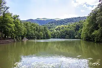 Lac Parz.