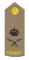 général de division (arabe : لواء)