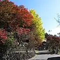 三峰神社秋 1