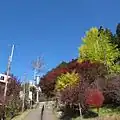 三峰神社秋 2