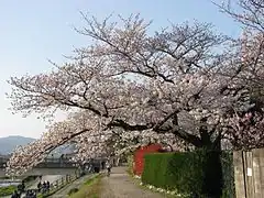 Pont Izumoji