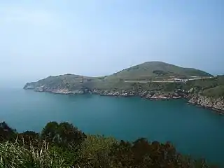 Crocodile allongé