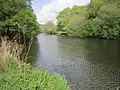 L'Ellé juste en amont du moulin de Kergueff (entre Tréméven et Arzano).