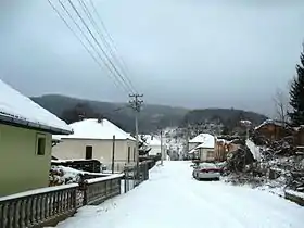 Vlasina Rid