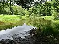 L'étang de Kerrousseau, sur le Ruisseau du Moulin de Kerrousseau (limite communale entre Quéven et Gestel).