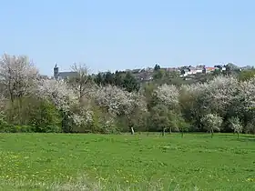 Beaumont (Hainaut)