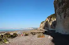 Varengeville-sur-Mer : craies du Santonien (85&nbsp;Ma) et du Campanien (75&nbsp;Ma).
