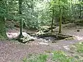 Le site des Trois fontaines, au sud de l'étang du Hénan : vue d'ensemble.