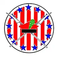 Image illustrative de l’article 111e escadrille de chasse polonaise