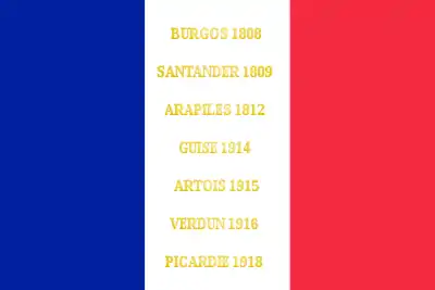 Drapeau du 119e régiment d'infanterie de l'armée française, avec ses batailles.