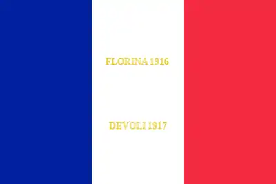 Drapeau du 175e régiment d'infanterie de l'armée française, avec ses batailles.