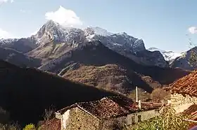 Ponga (Asturies)