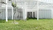 台中中央公園