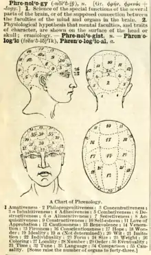 texte en anglais et dessins en noir et blanc des différentes zones d'un cerveau humain.