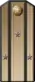 1904—1917