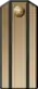1904—1917