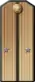 1909—1917