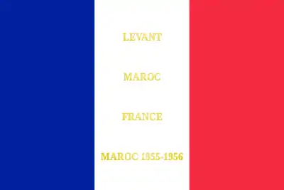 Drapeau du 19e bataillon de parachutistes algériens