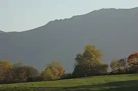 Vue d’arbres en couleurs d’automne sur fond montagneux.
