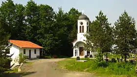 Vlajići