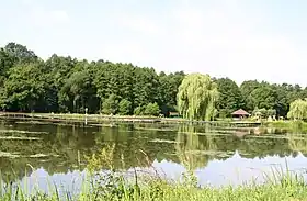 Dobra (Opole)