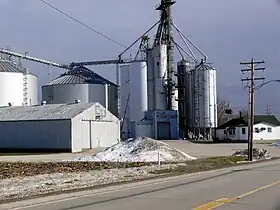 Troy Grove