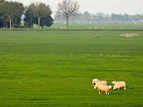 Mastenbroek