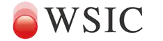 Logo du championnat international 2013.