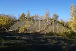 Un grand terril noir bordé d'arbres.