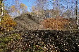 Des talus noirs.