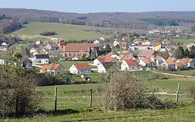 Saulnot
