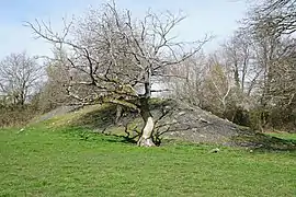 Le terril du puits François-Mathieu.