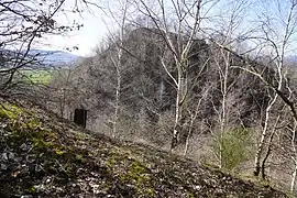Un terril vu depuis le plan incliné boisé d'un autre.