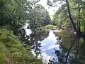 Un affluent du Goyen près du sentier botanique de découverte végétale de Lanrien.