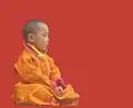 Le 20e Kushok Bakula Rinpoche