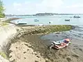 La pointe du Trec'h et, à l'arrière-plan, la pointe d'Arradon.