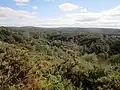Les landes du Liscuis vues depuis le GR 341 vers Lann Falc'h.