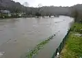 Idem, juste en aval du « Pont du Roy » (7 février 2014).
