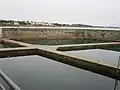 Bassins d'eau de mer pour les études et l'acclimatation.