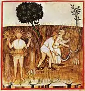 « Été », extrait du Tacuinum Sanitatis, XIVe siècle.