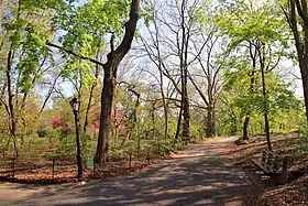 The Ramble à Central Park