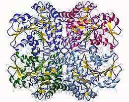 Image illustrative de l’article Cystathionine gamma-lyase
