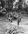 32e&nbsp;division d'infanterie américaine près de Saidor