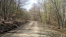Crkvari