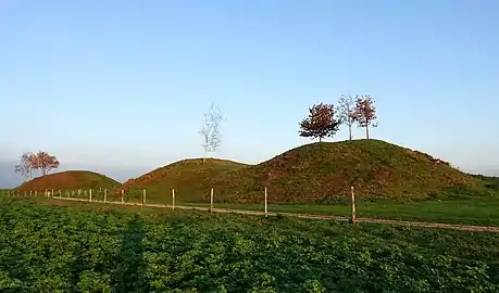 Tumuli de Seron.